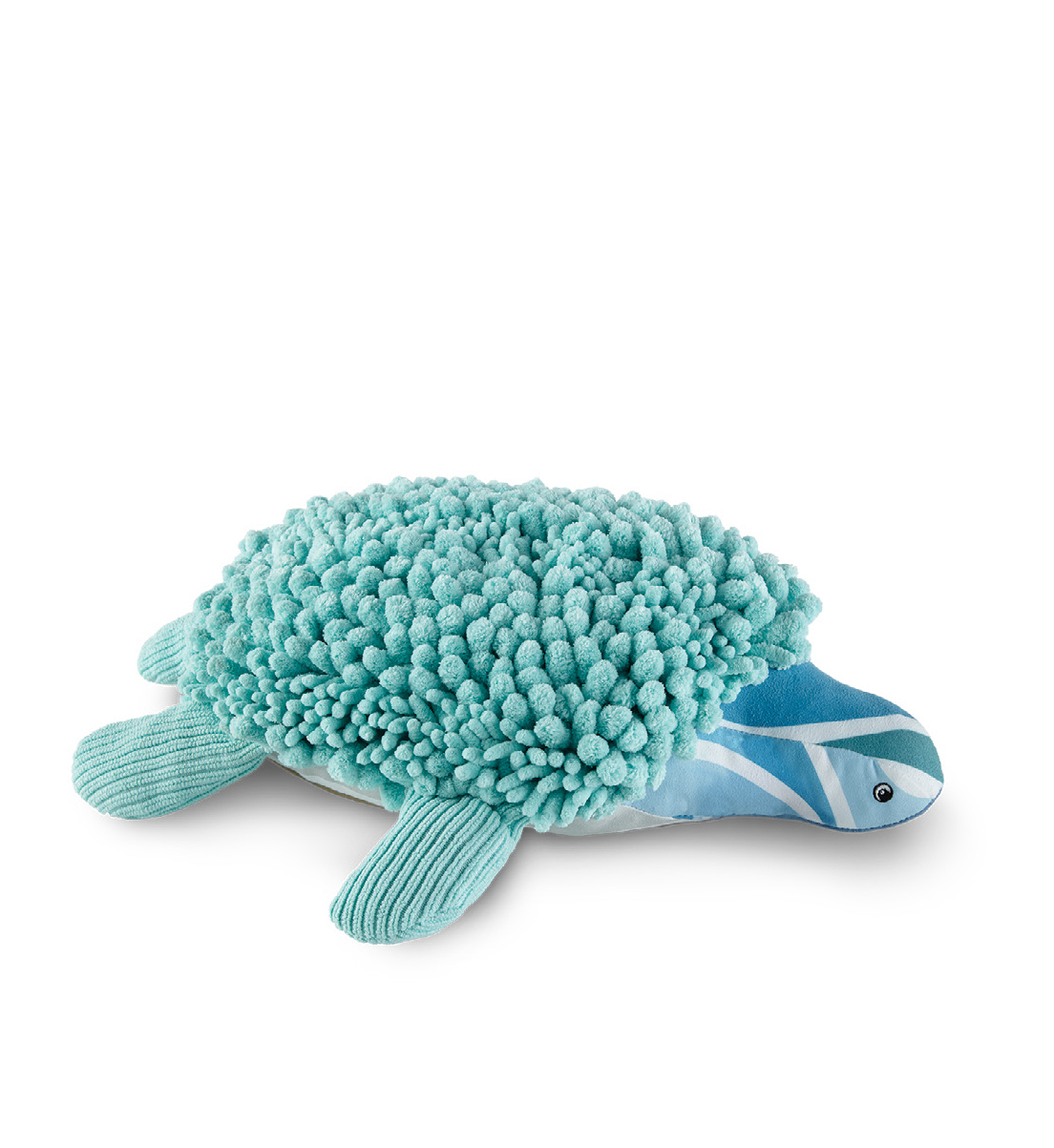Pet with a Purpose, sea turtle